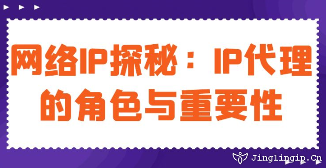 網(wǎng)絡(luò)IP探秘:IP代理的角色與重要性